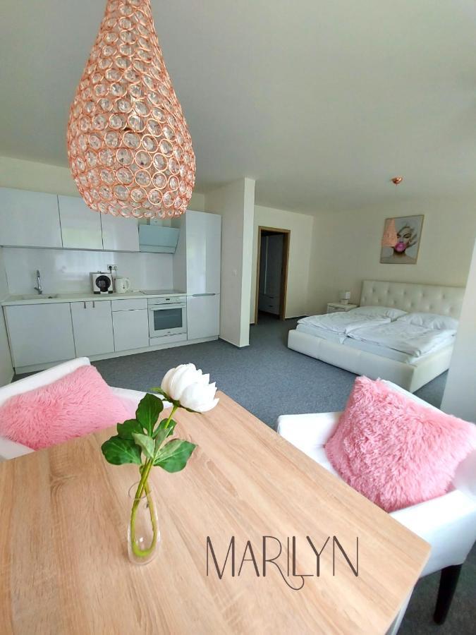 Jeseník The Meetinka Apartments מראה חיצוני תמונה